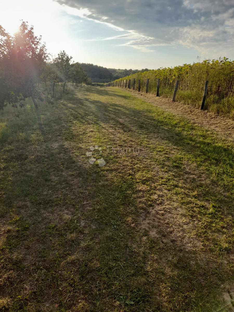 GRADIŠTE