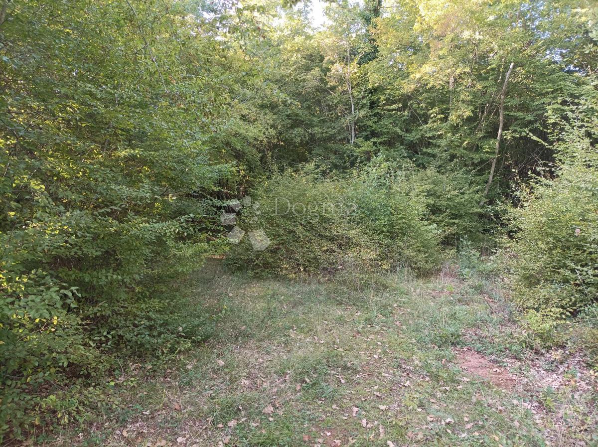 ROČ