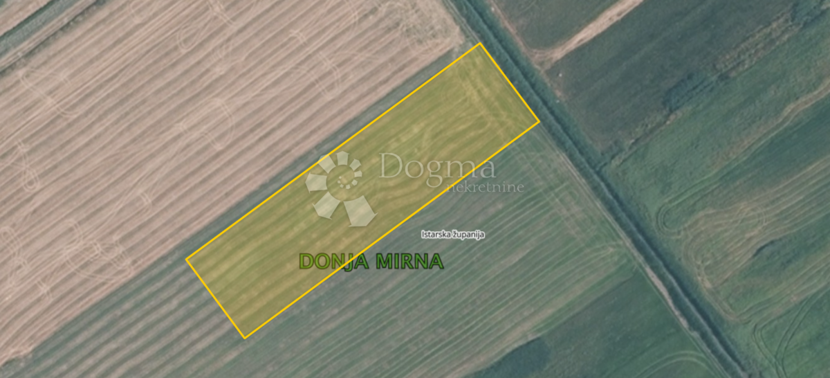 ROGOVIĆI