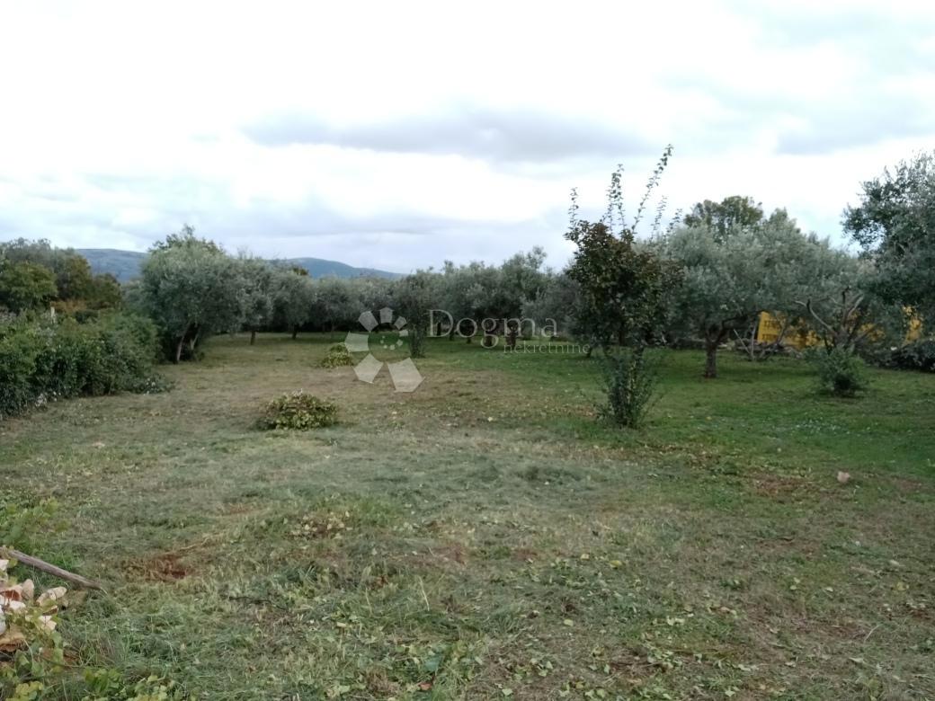RAKALJ