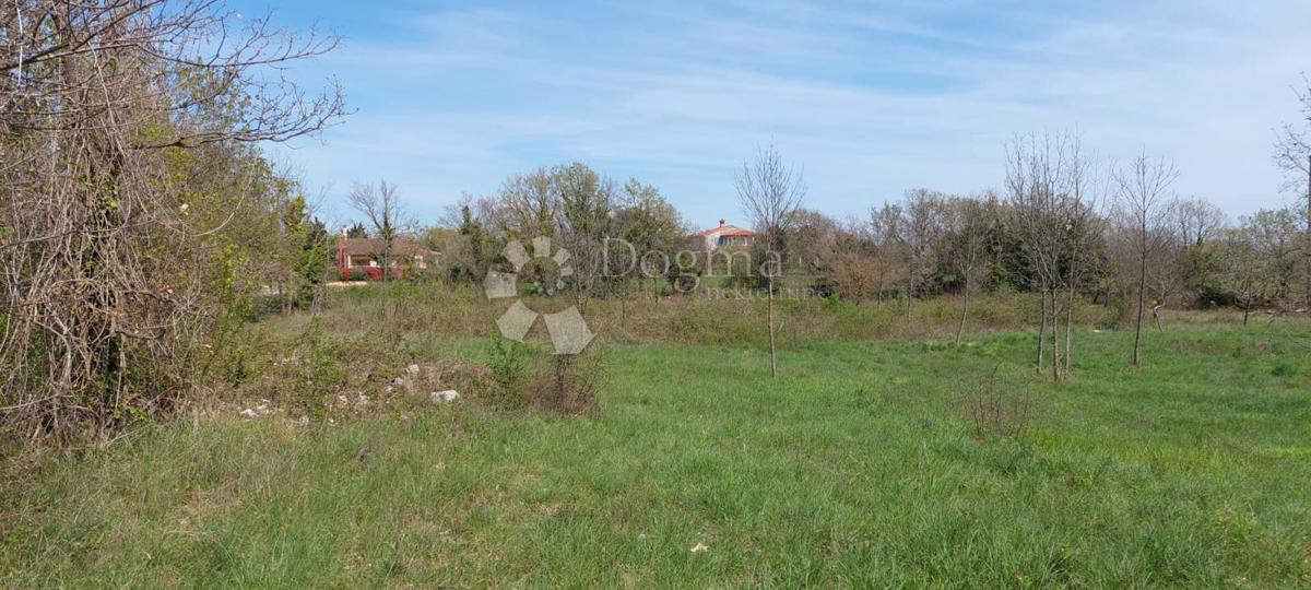 ŠEGOTIĆI