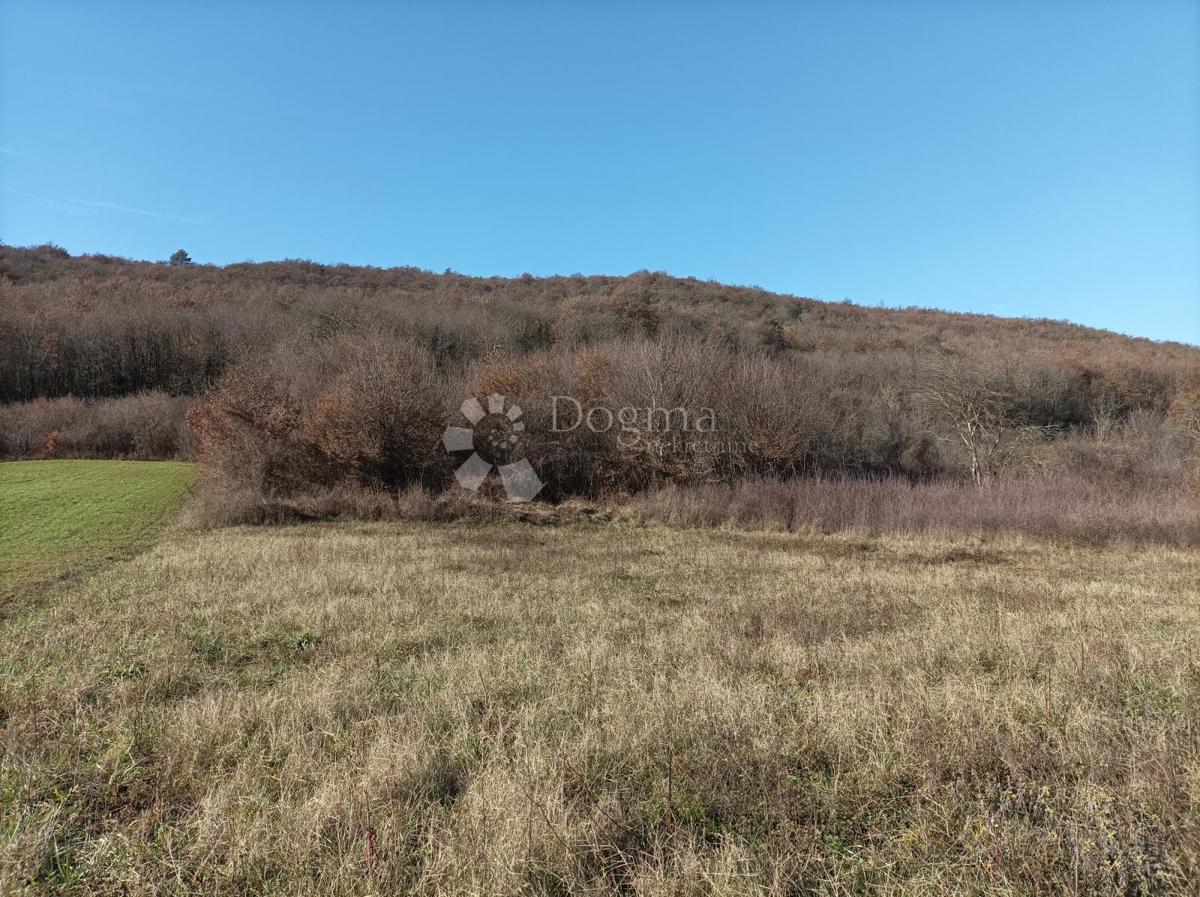 KANFANAR