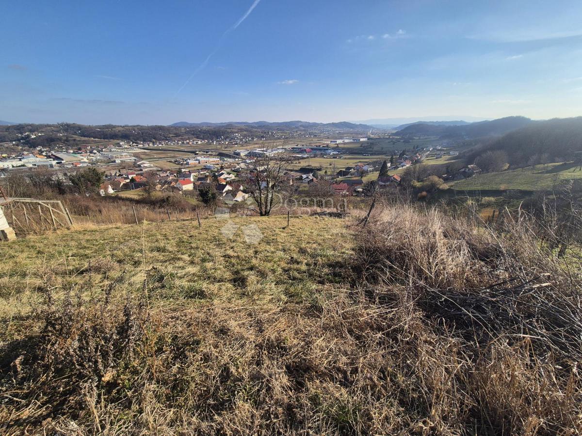 BOBOVJE