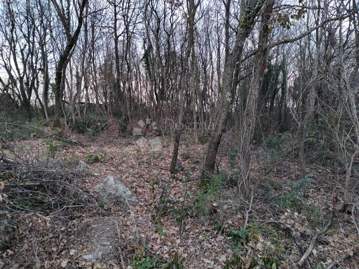GRAČIŠĆE