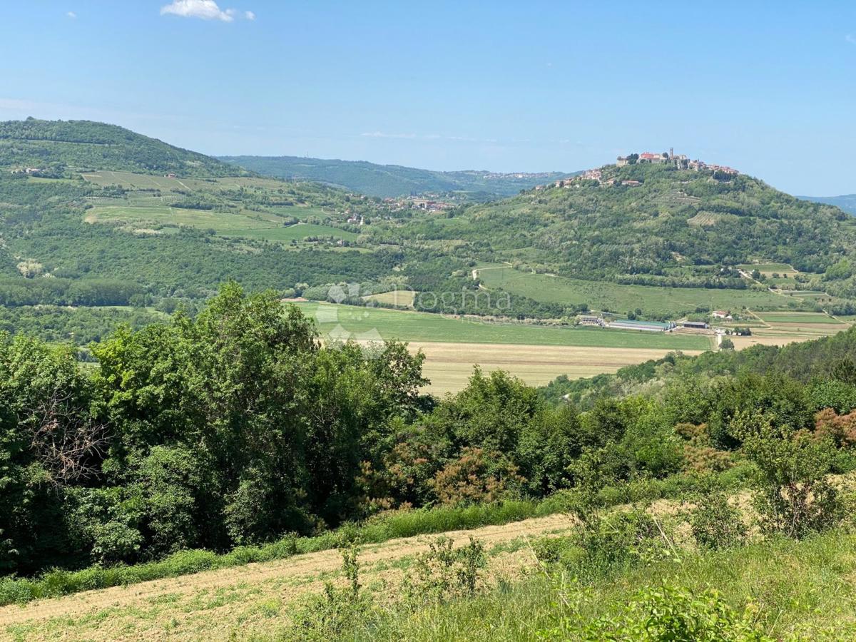 MOTOVUN