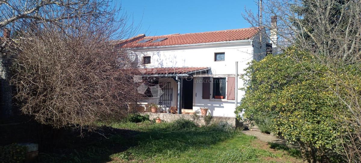 MUNTIĆ