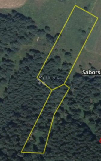 SABORSKO