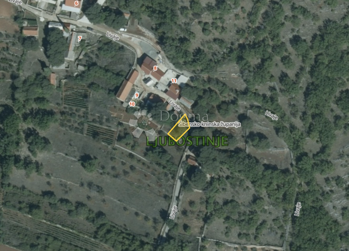 LJUBOSTINJE