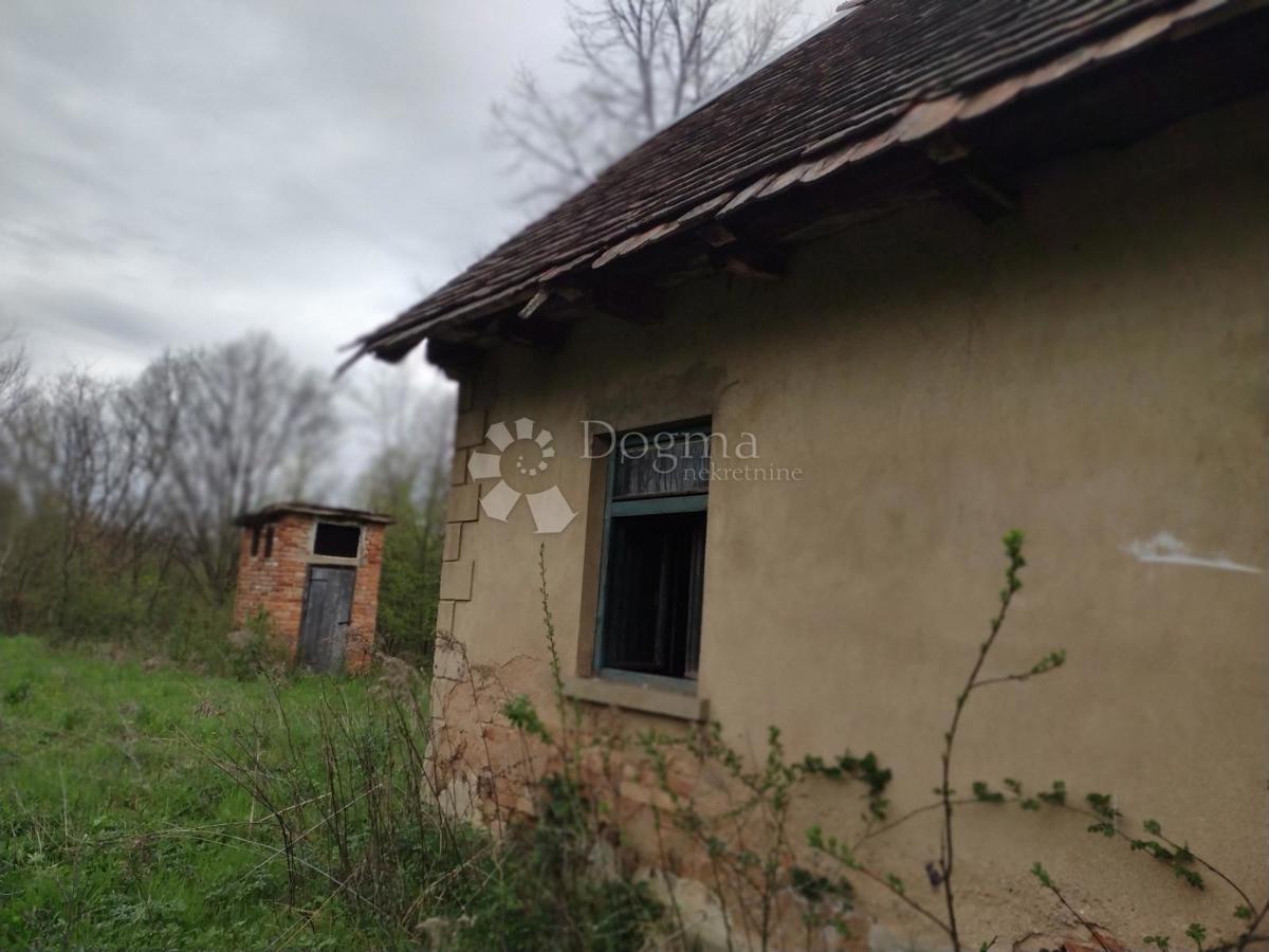 BLATUŠA