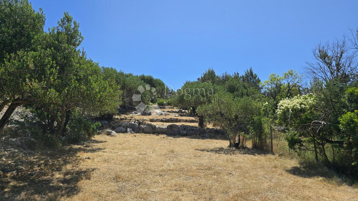 LOŽIŠĆA