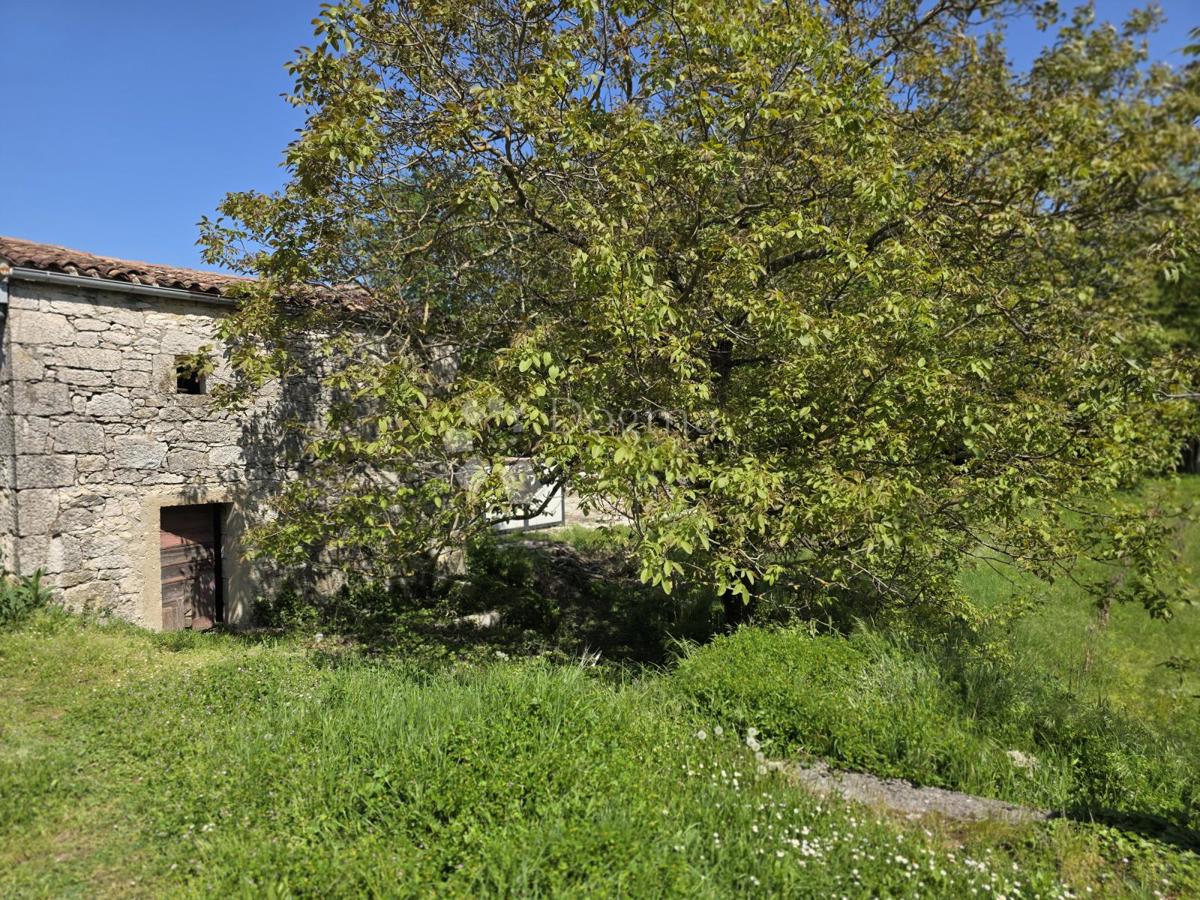 PIĆAN