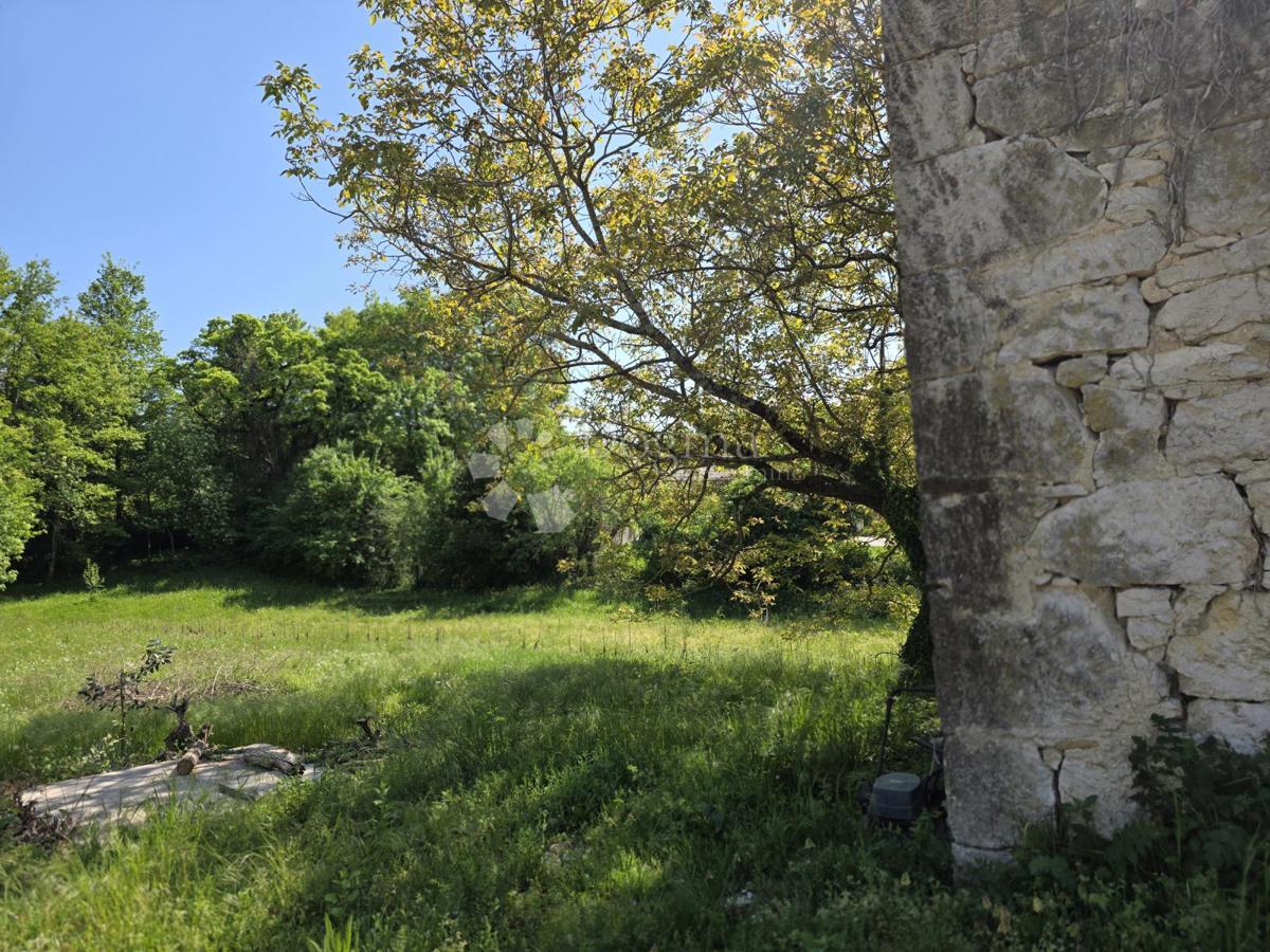 PIĆAN
