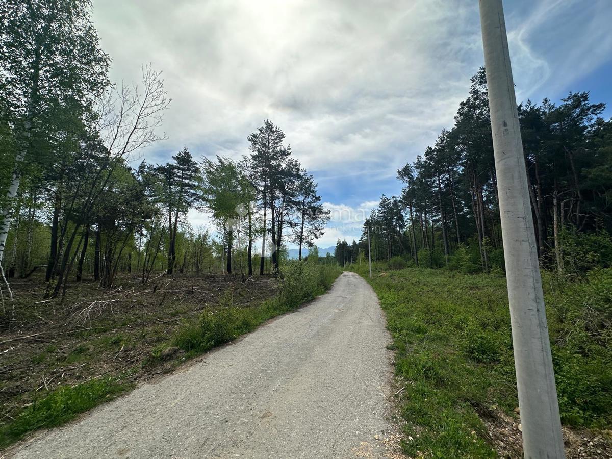 DIVOSELO