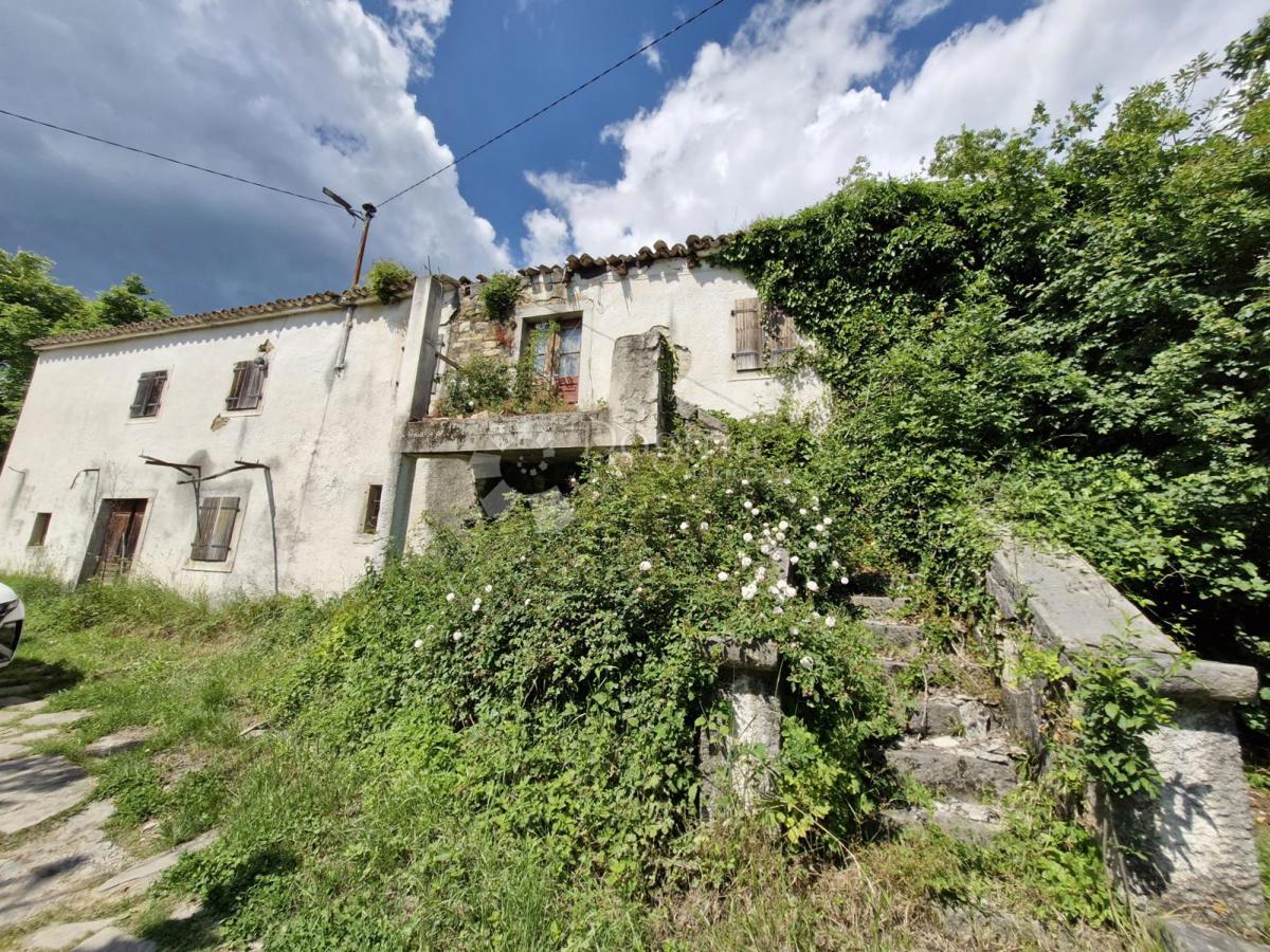 BUZET