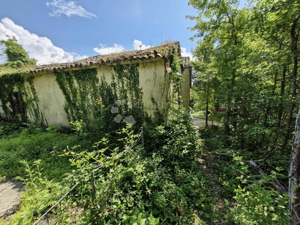 BUZET