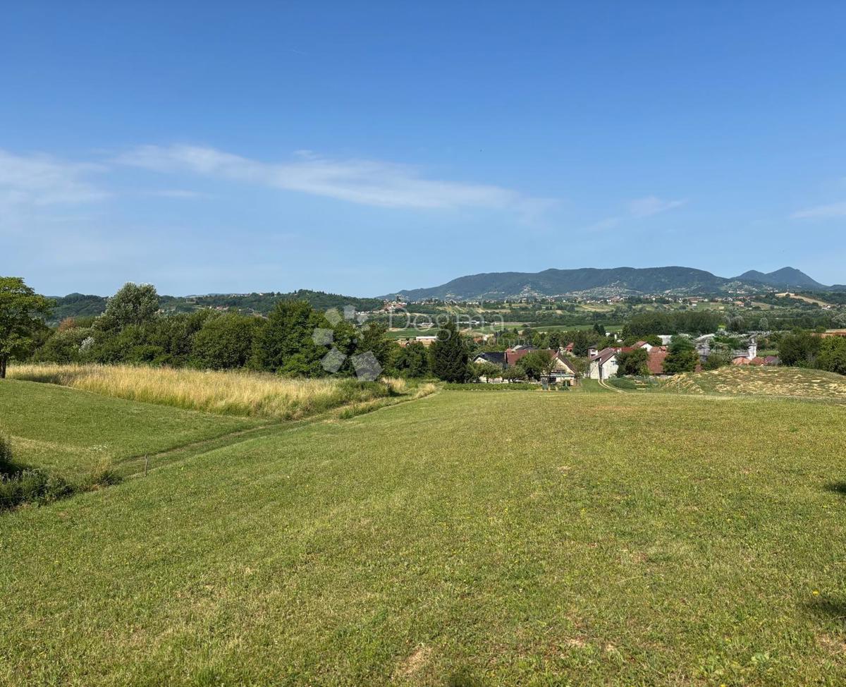 LJUBEŠĆICA