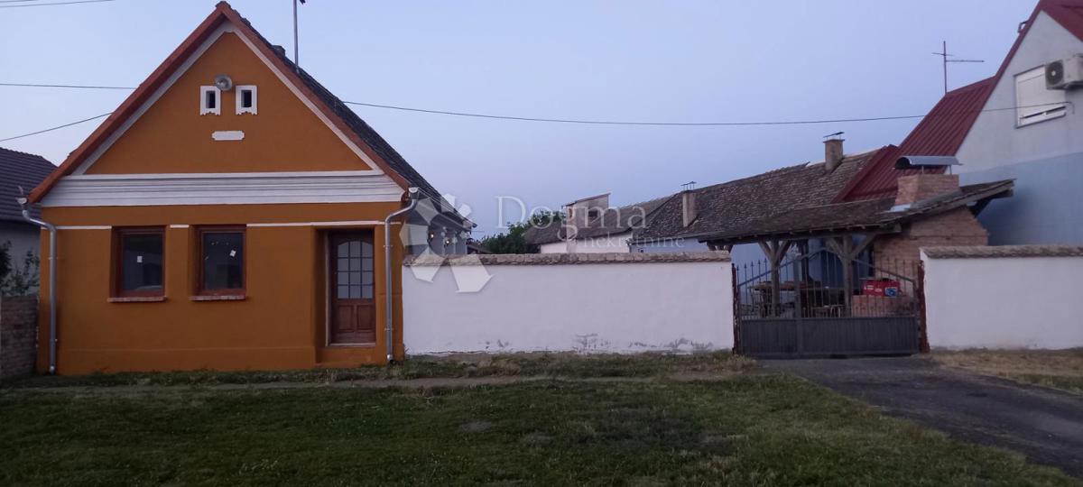 ČEPIN