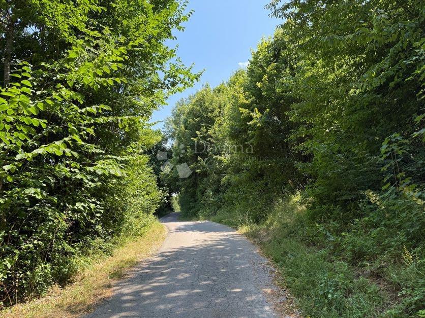 TRNOVAC