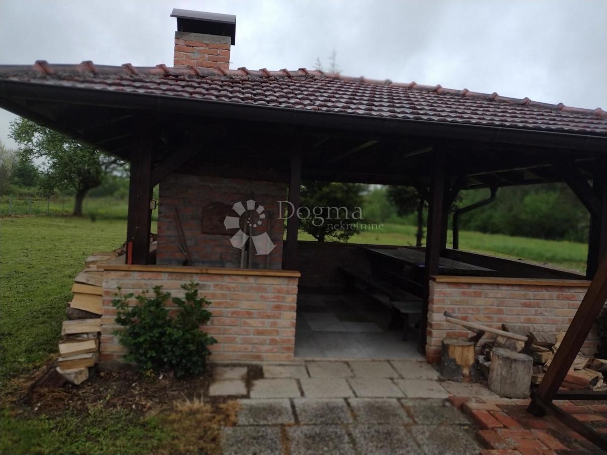 SVINICA