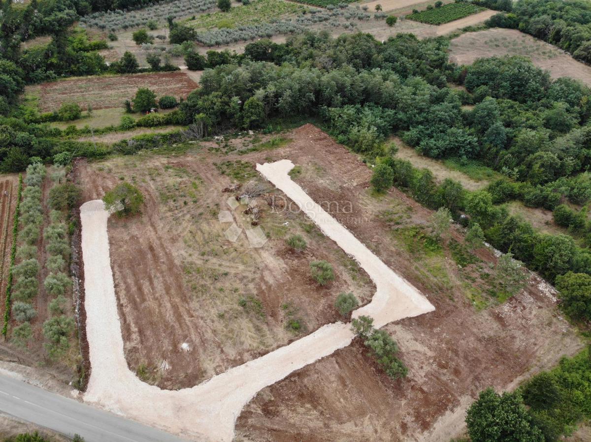 BRTONIGLA