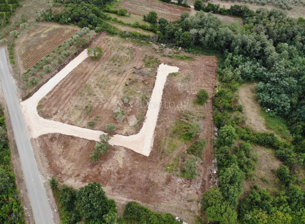 BRTONIGLA