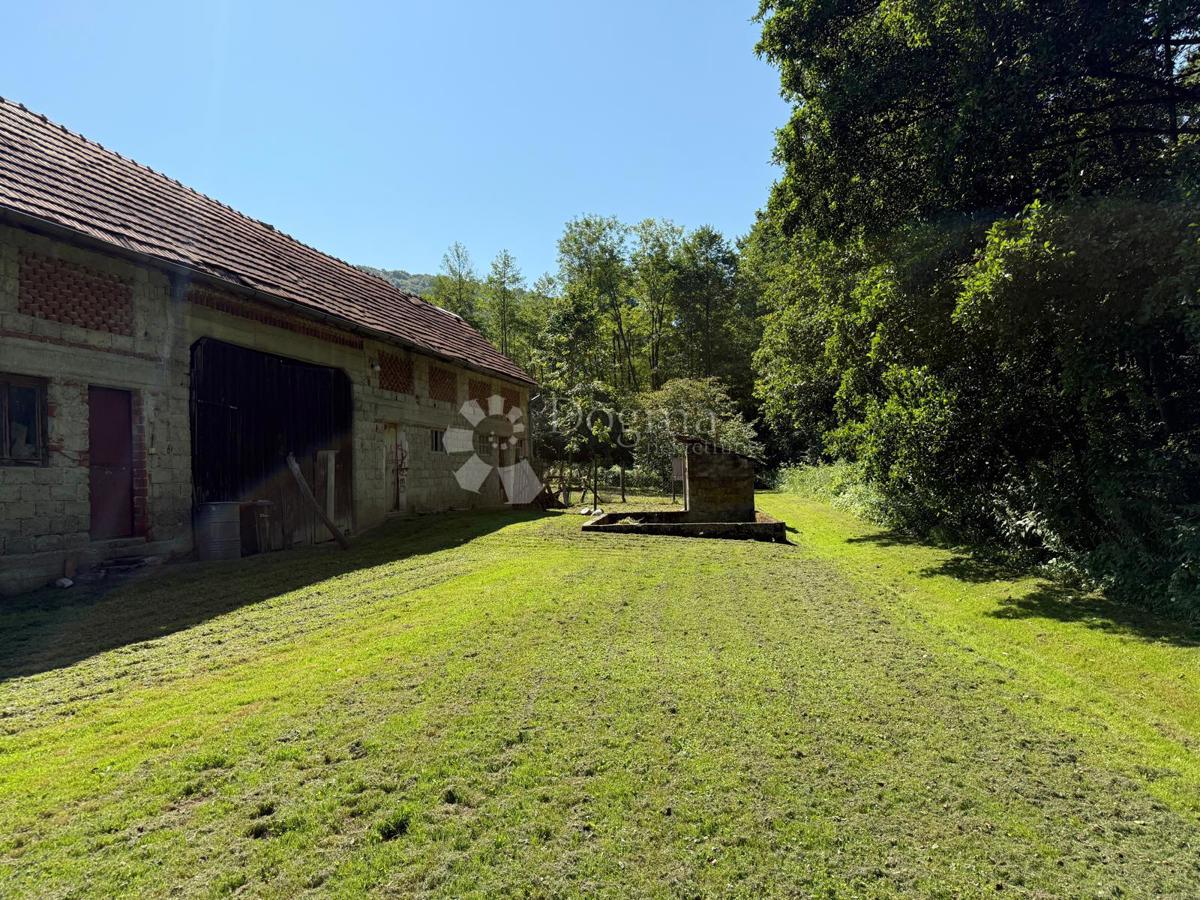 JALŠEVEC SVIBOVEČKI