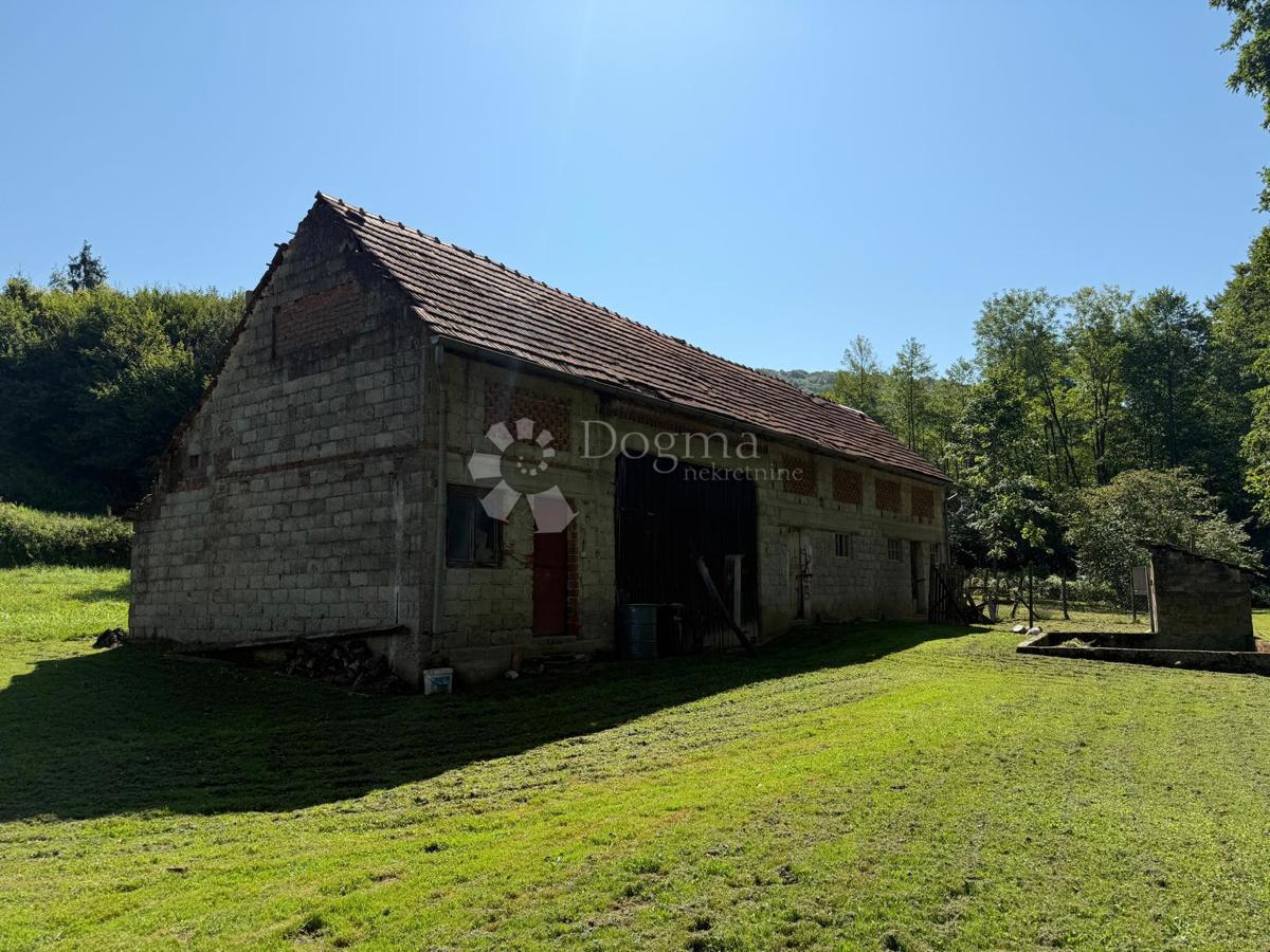 JALŠEVEC SVIBOVEČKI