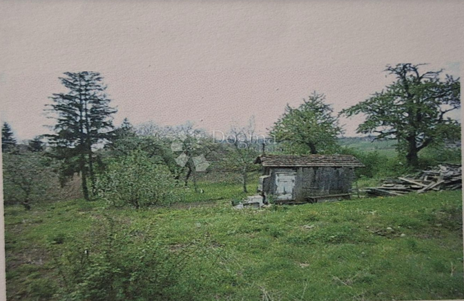 BREZNICA