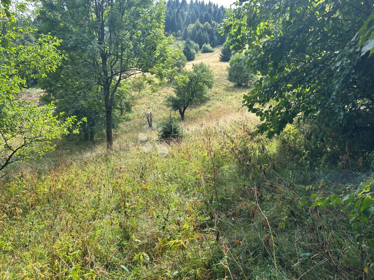 BRESTOVA DRAGA
