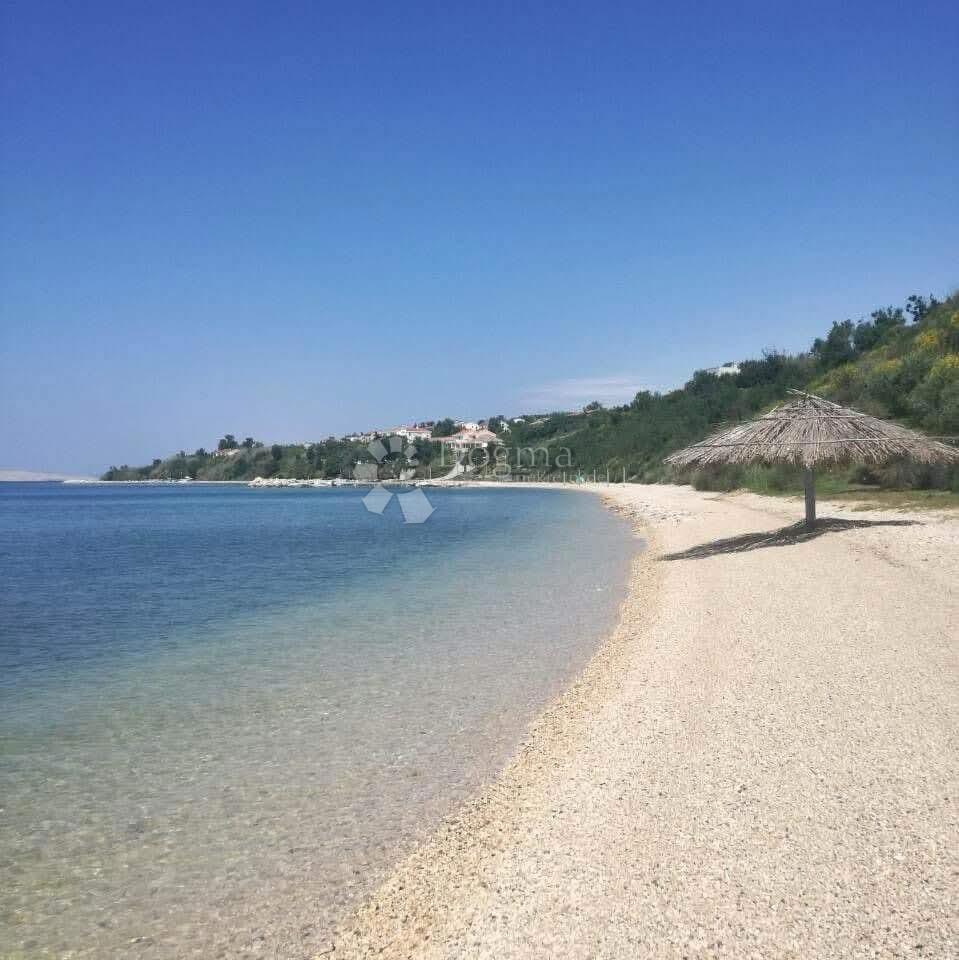 RTINA
