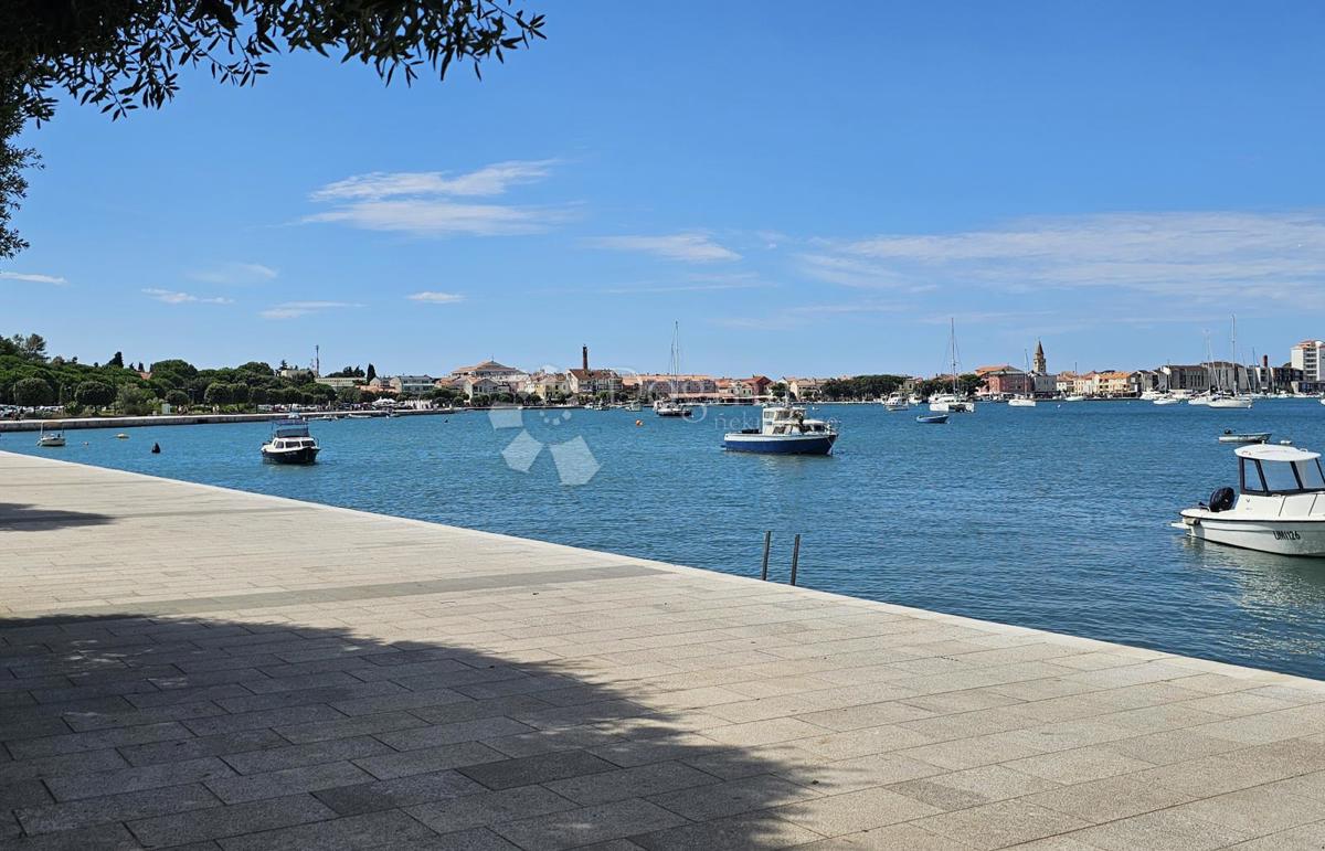 UMAG