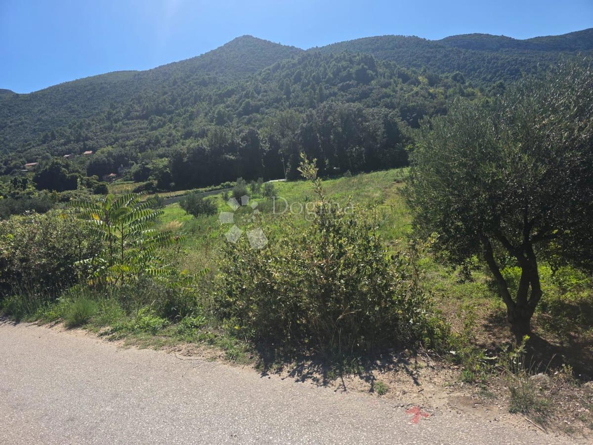 ŽULJANA
