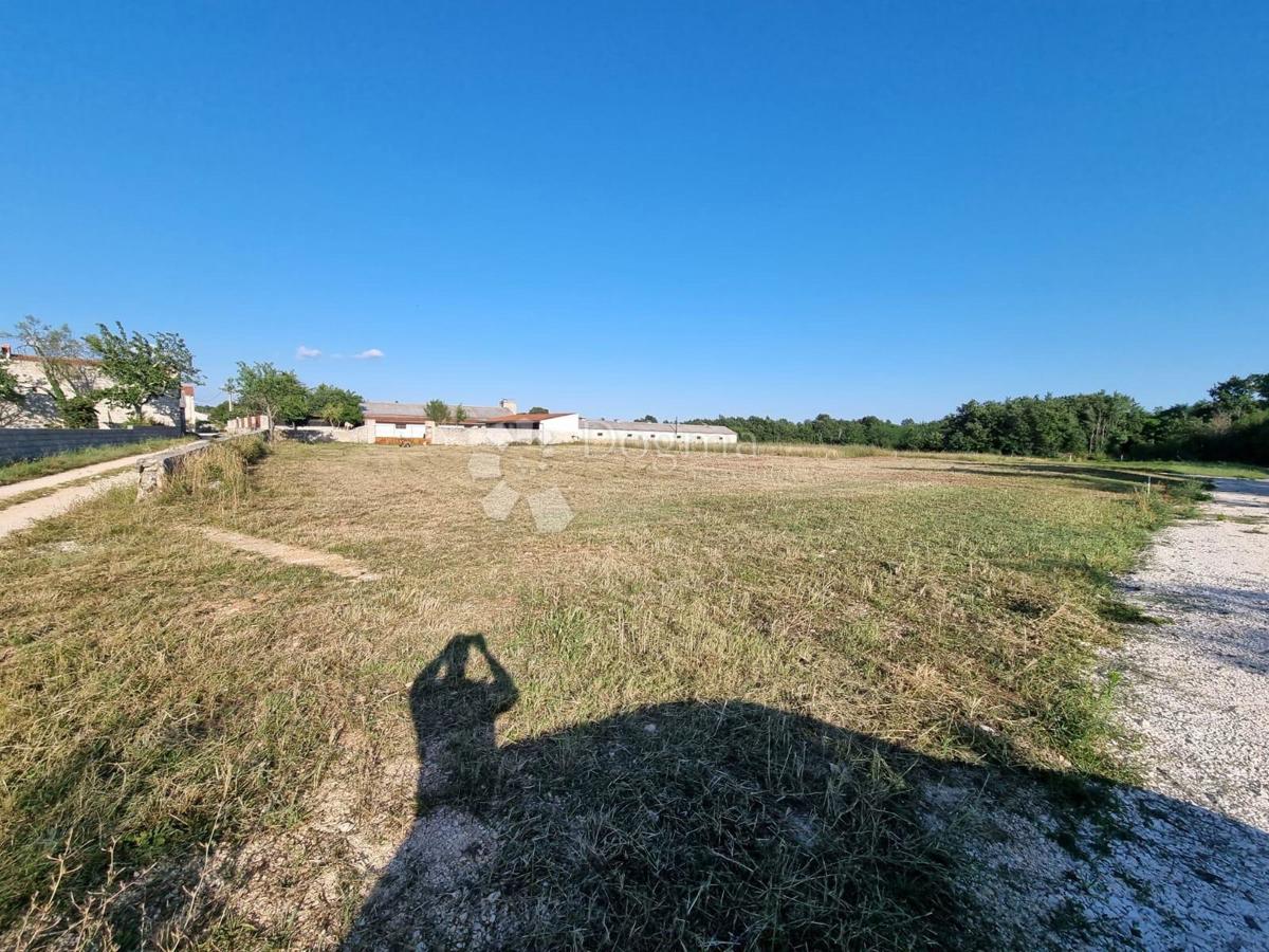 ŽMINJ