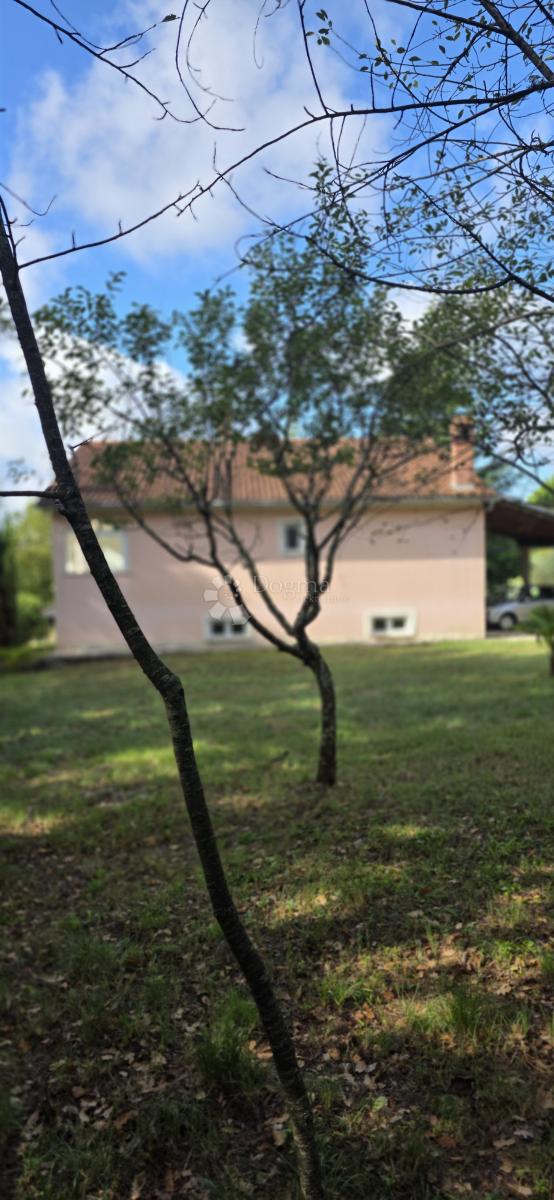 ŽMINJ