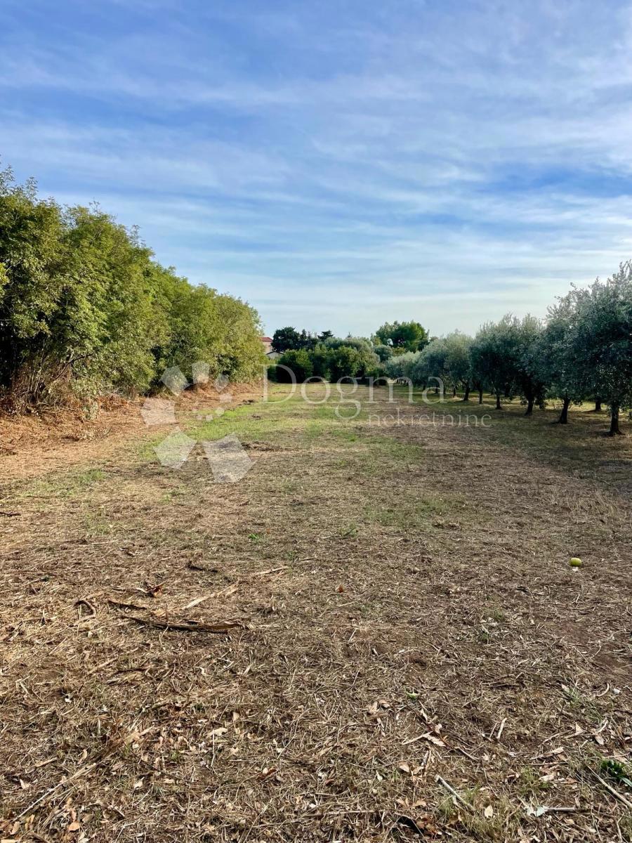 Terreno MEDULIN, 395.000 €