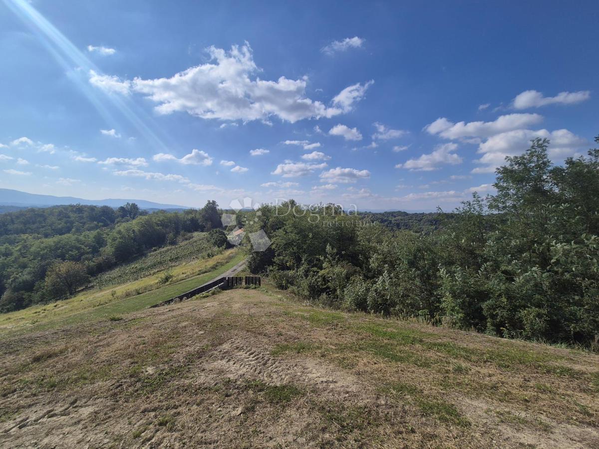 DOMAHOVO