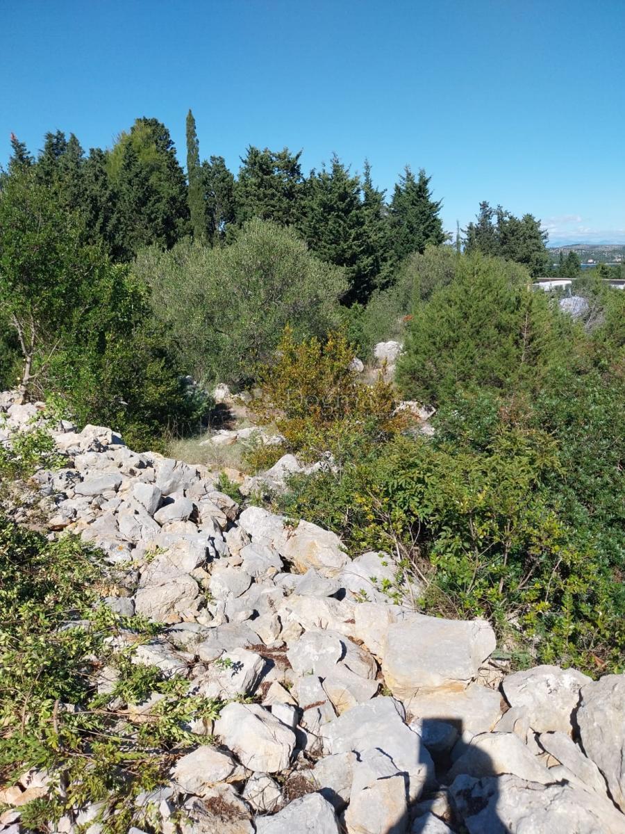 BOŽAVA