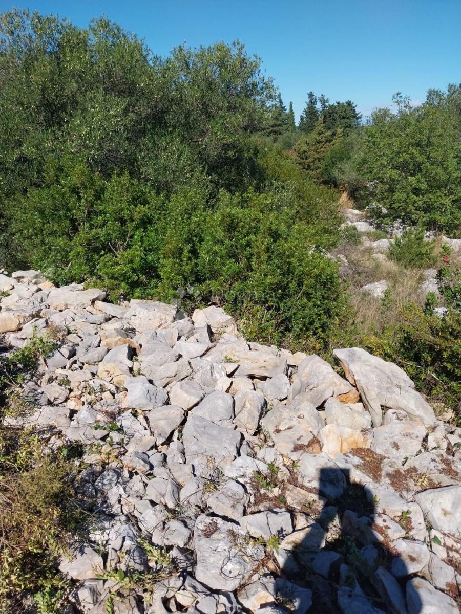 Terreno DUGI OTOK, 81.900 €