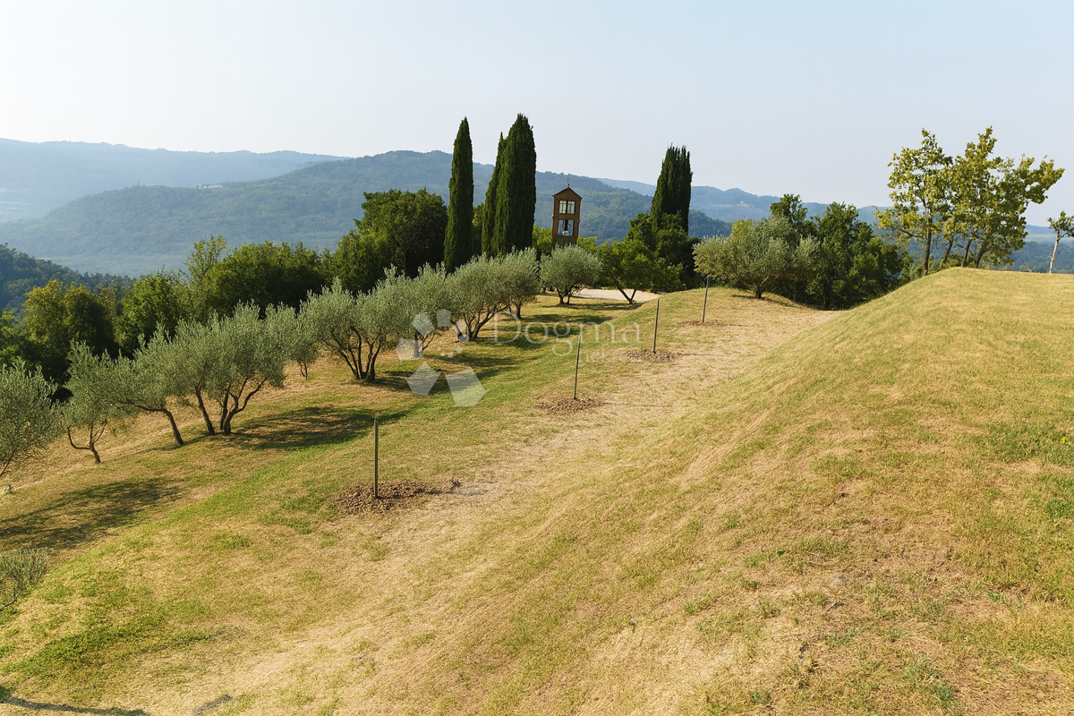 BUZET