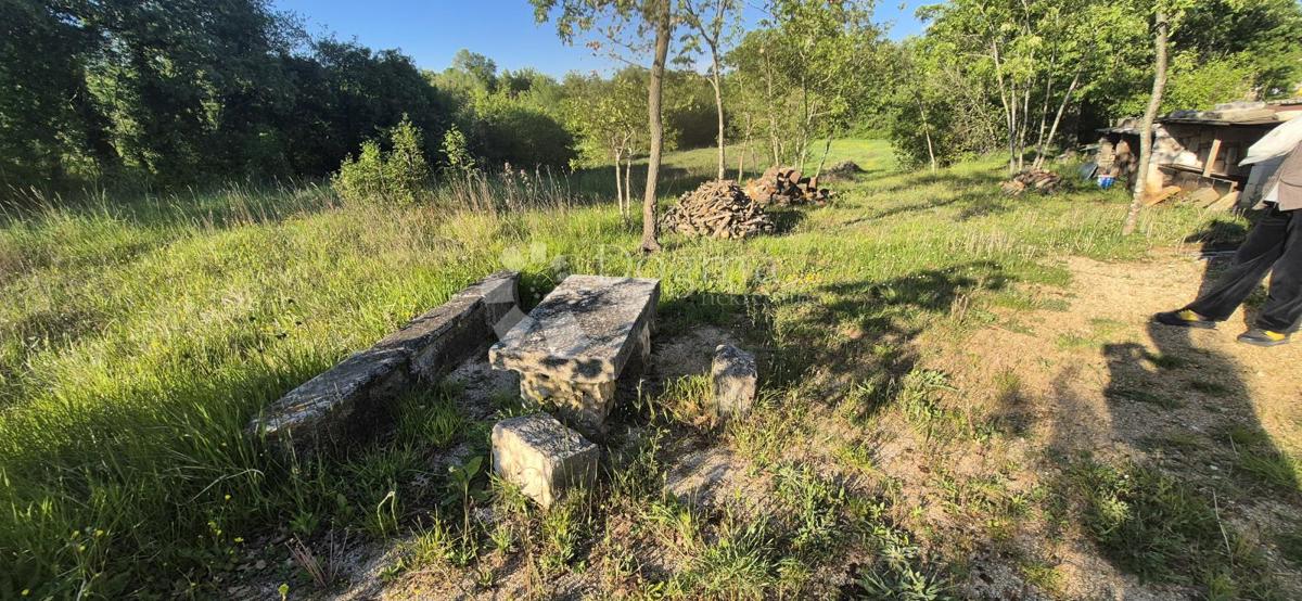 image 23