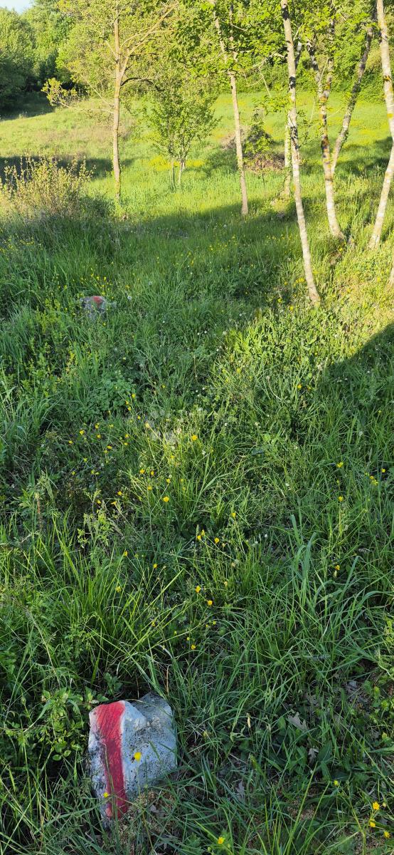 image 14