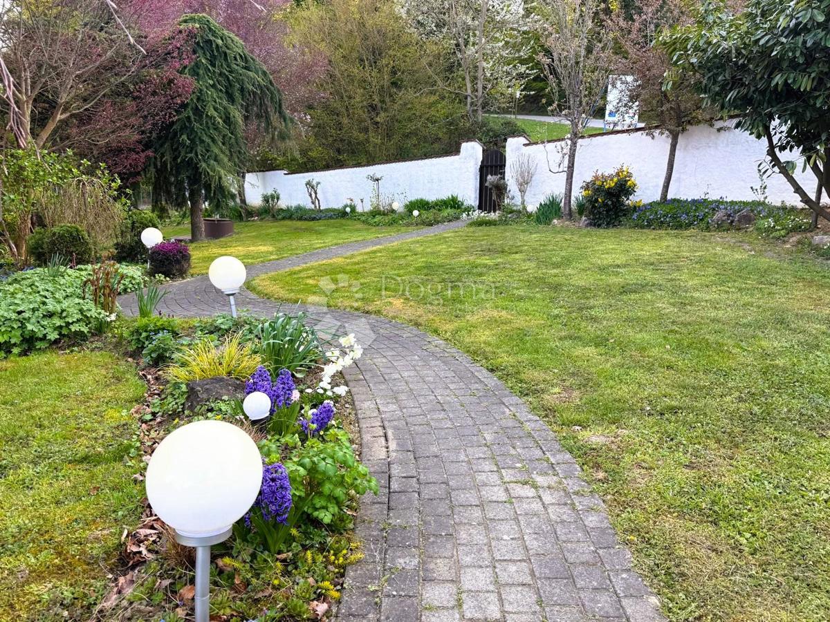 image 16