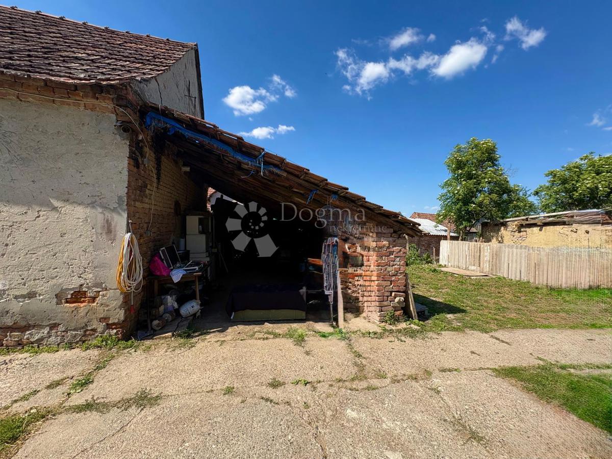 image 15