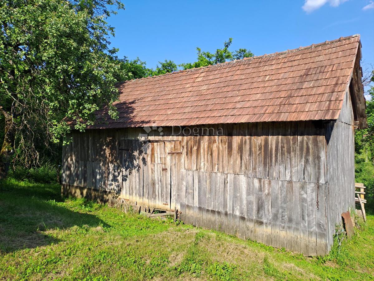 image 18