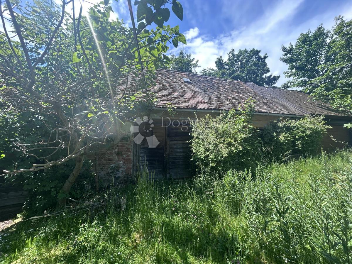 image 16