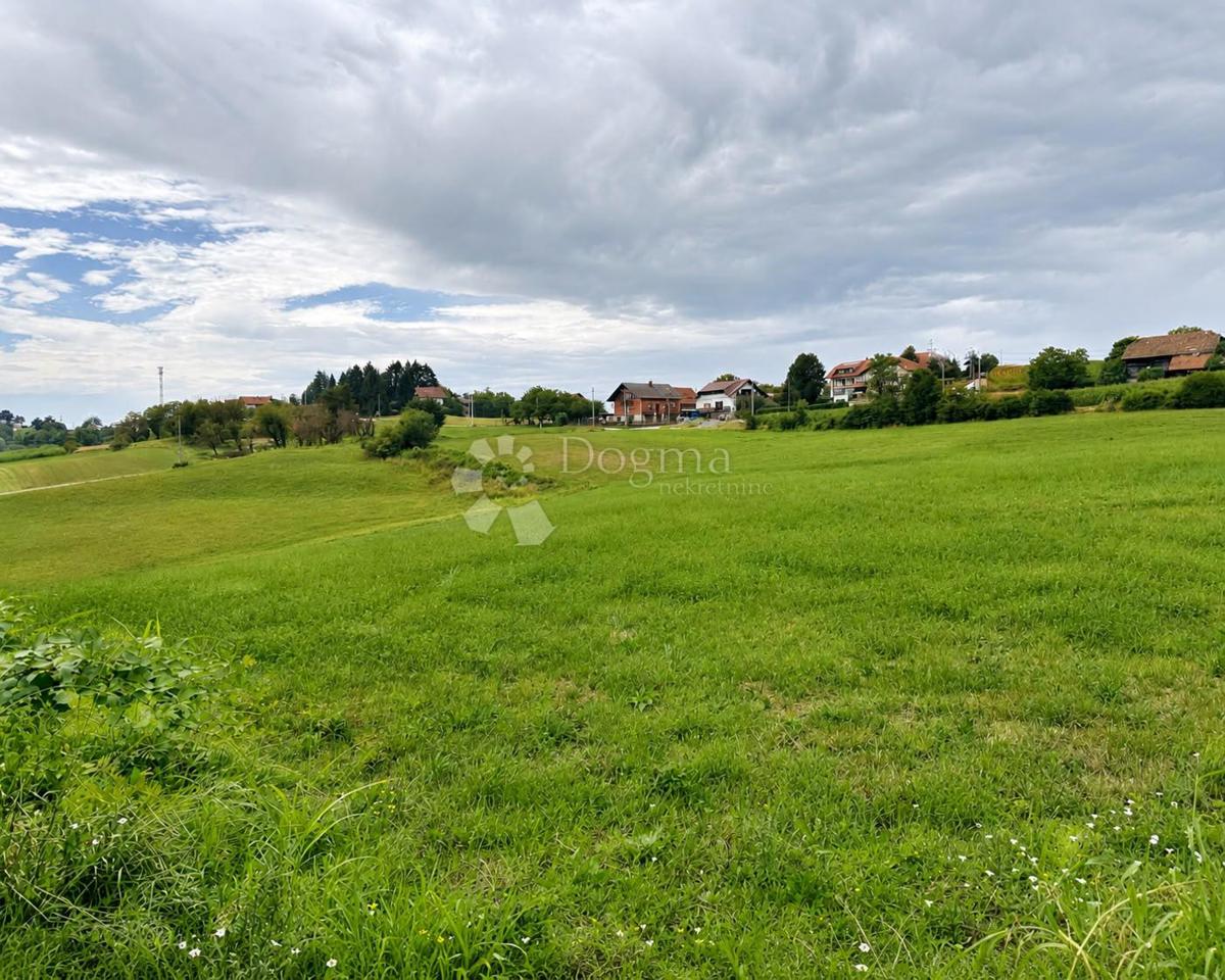image 16