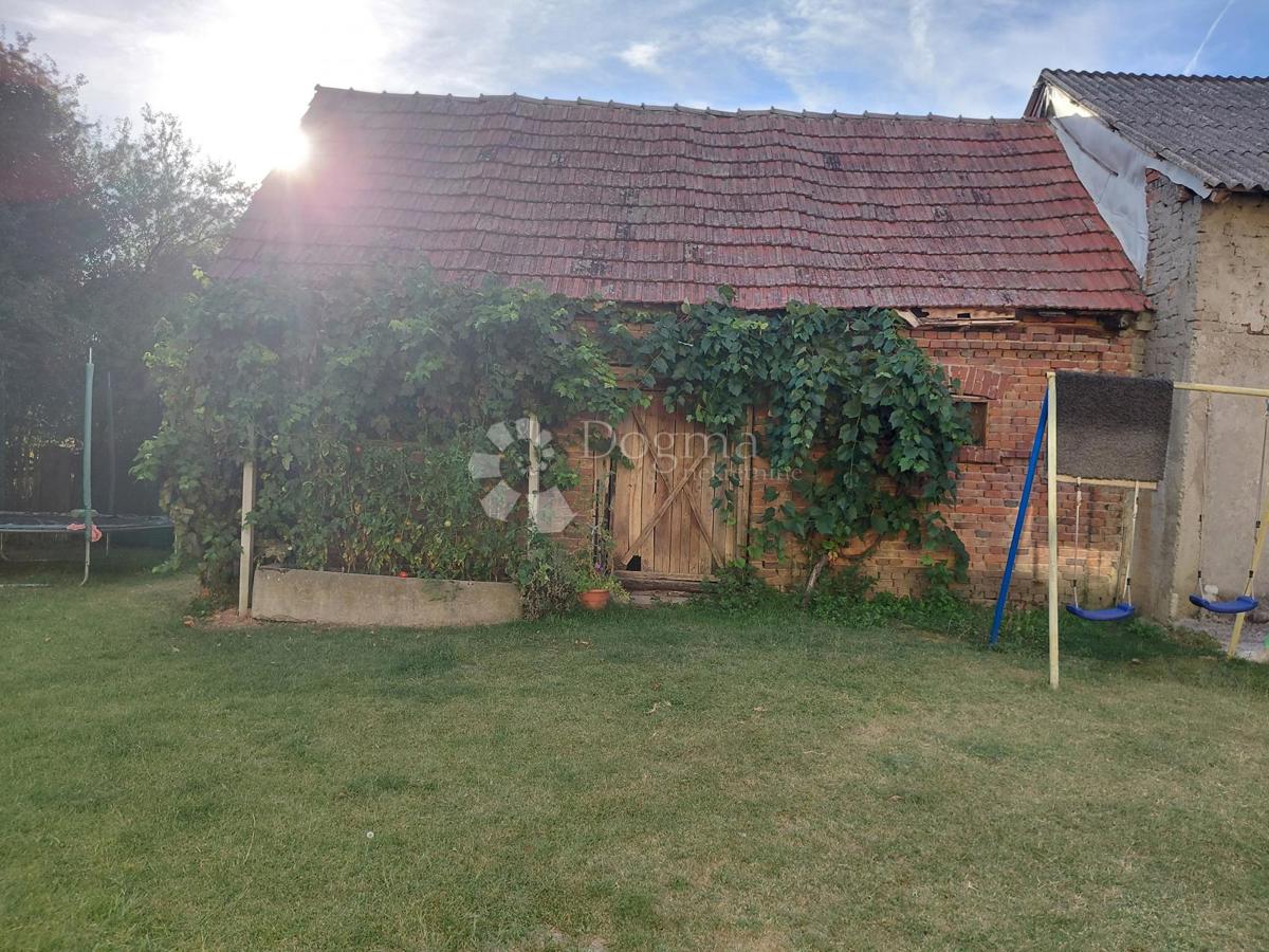 image 29