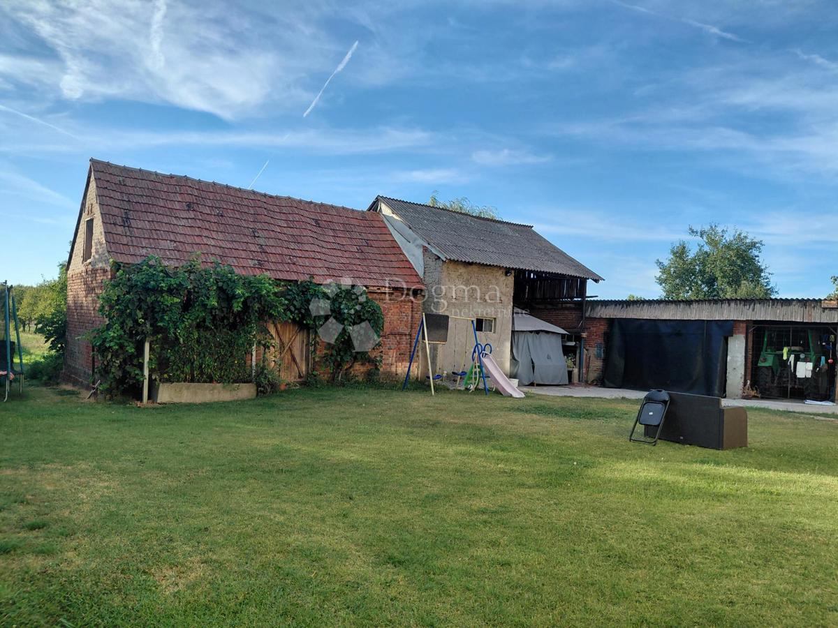 image 30