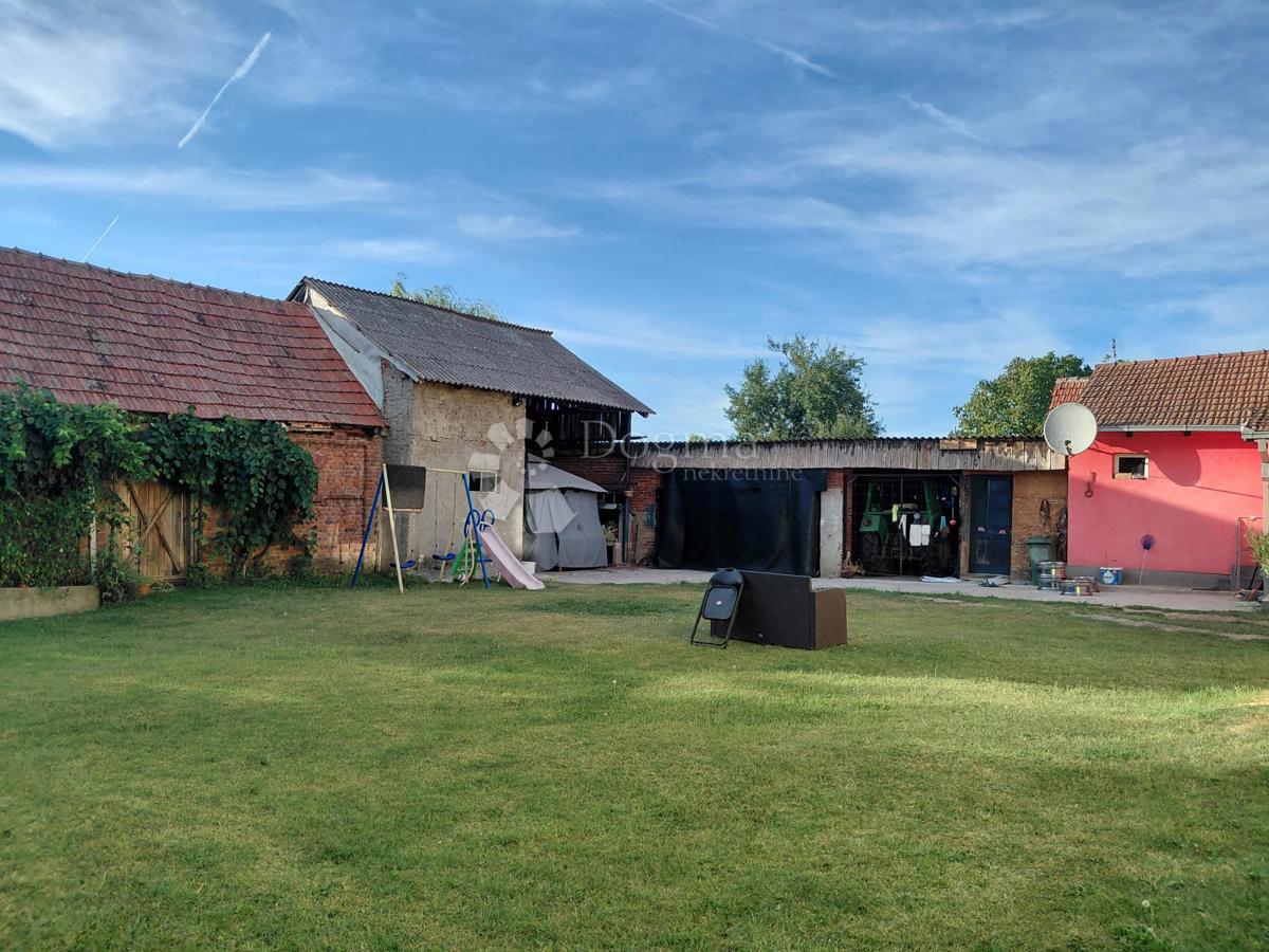 image 31