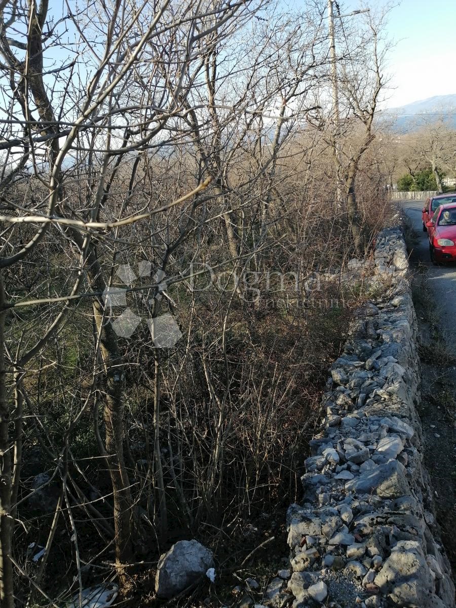 ŠMRIKA